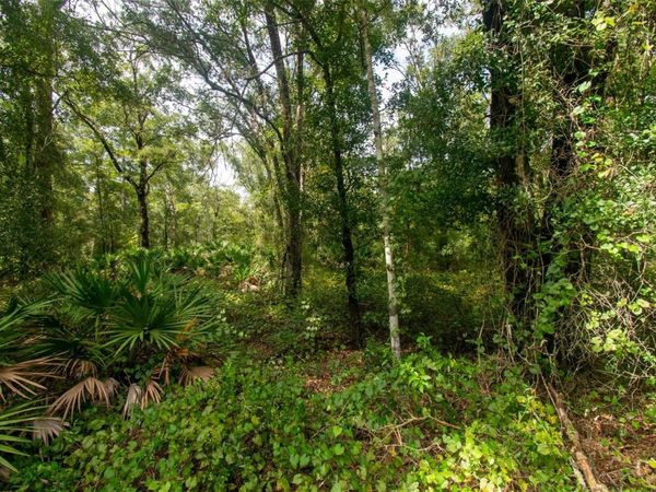 4730 PALATKA BOULEVARD , HASTINGS, FL 32145
