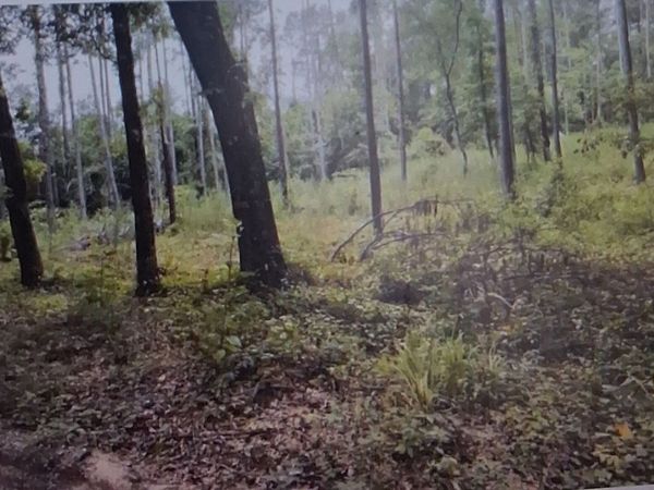 189 NW Morris Stevens rd, Macon, GA 31217