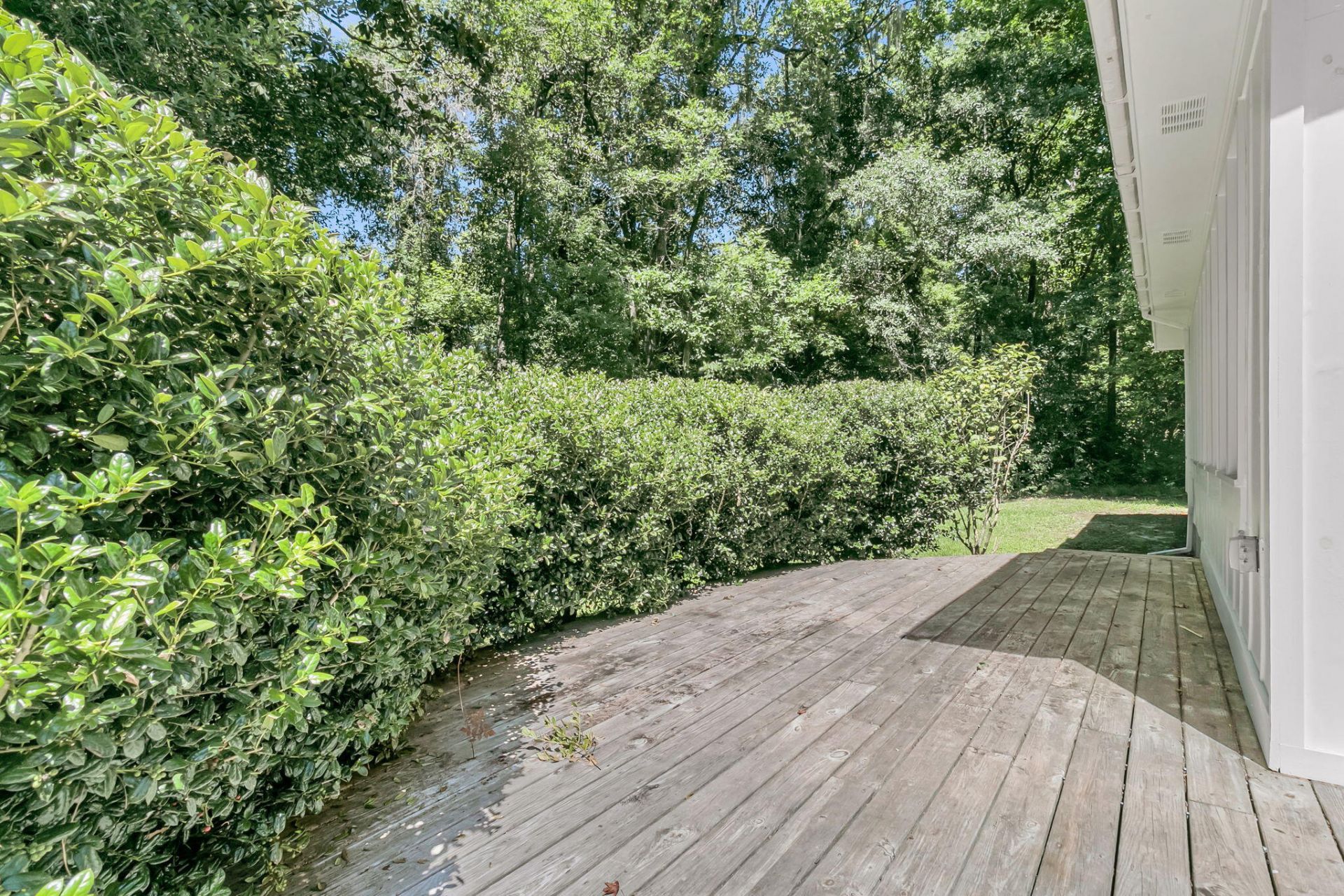 109 Halcyon Road Photo 51