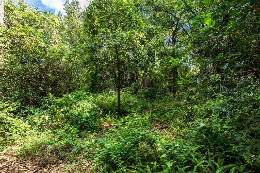12511 Roseland Road, Sebastian, FL 32958 Photo
