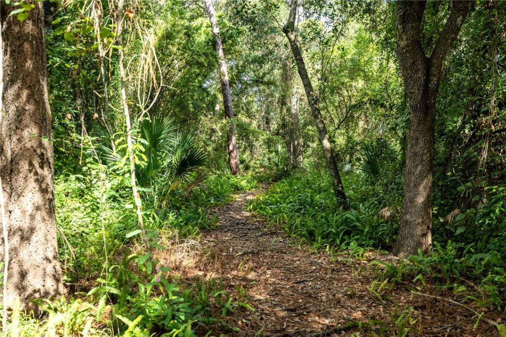 12511 Roseland Road, Sebastian, FL 32958 Photo