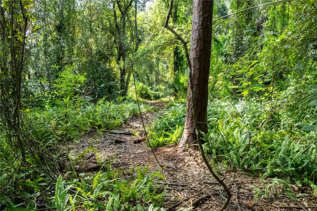 12511 Roseland Road, Sebastian, FL 32958 Photo
