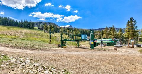 50977 Wintergreen, Kirkwood, CA 95646 Photo