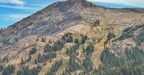 50977 Wintergreen, Kirkwood, CA 95646 Photo