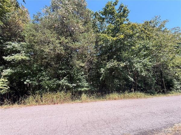 0 Terre Bleue and Hedgeapple Drive , Bonne Terre, MO 63628