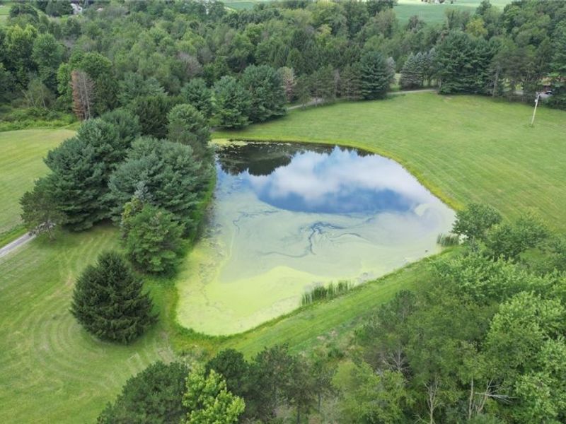 4493 Blachleyville Road, Wooster, OH 44691 Photo 43