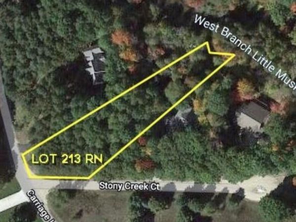 9750 Stony Creek Court, Stanwood, MI 49346