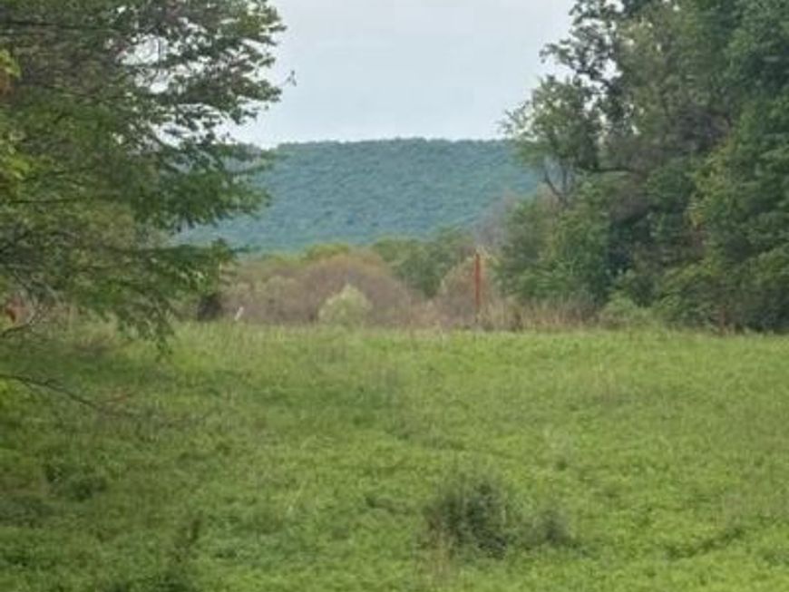 1311 Red Hill Road , Dauphin, PA 17018 Main Photo