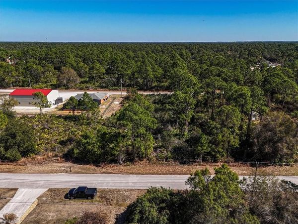 169 Duke AVE S, LEHIGH ACRES, FL 33974