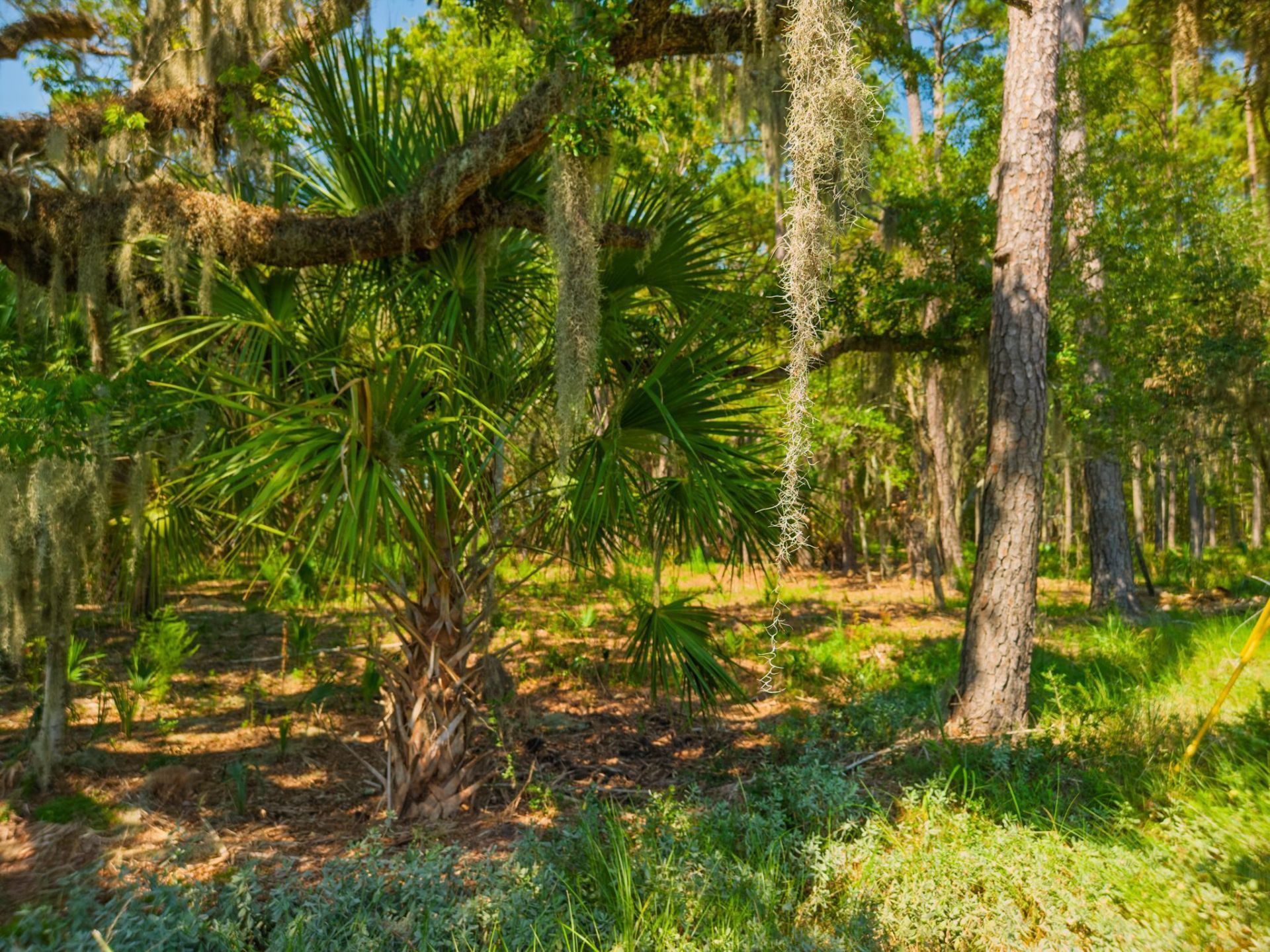 7860 Russell Creek Road Photo 10