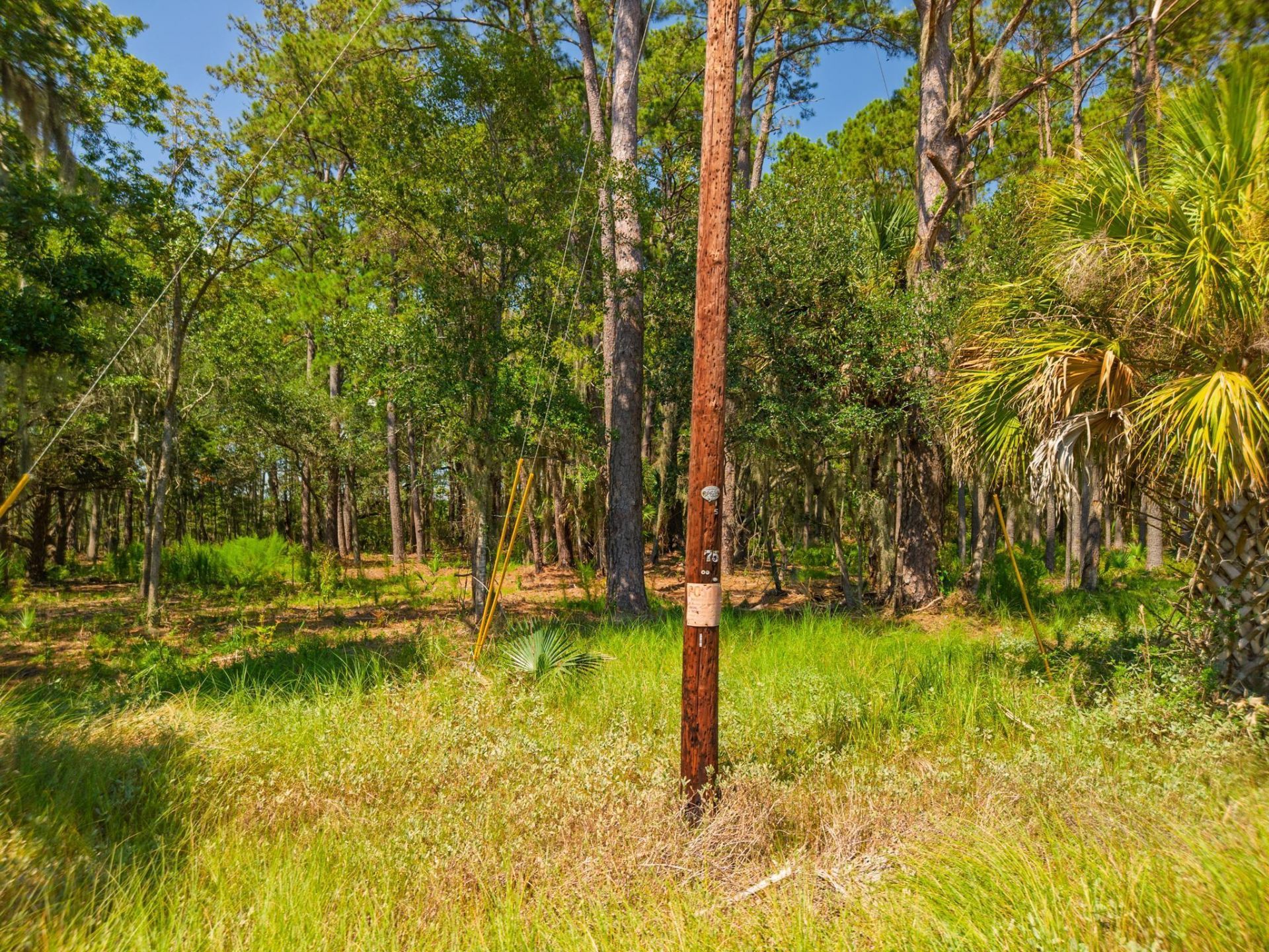 7860 Russell Creek Road Photo 11