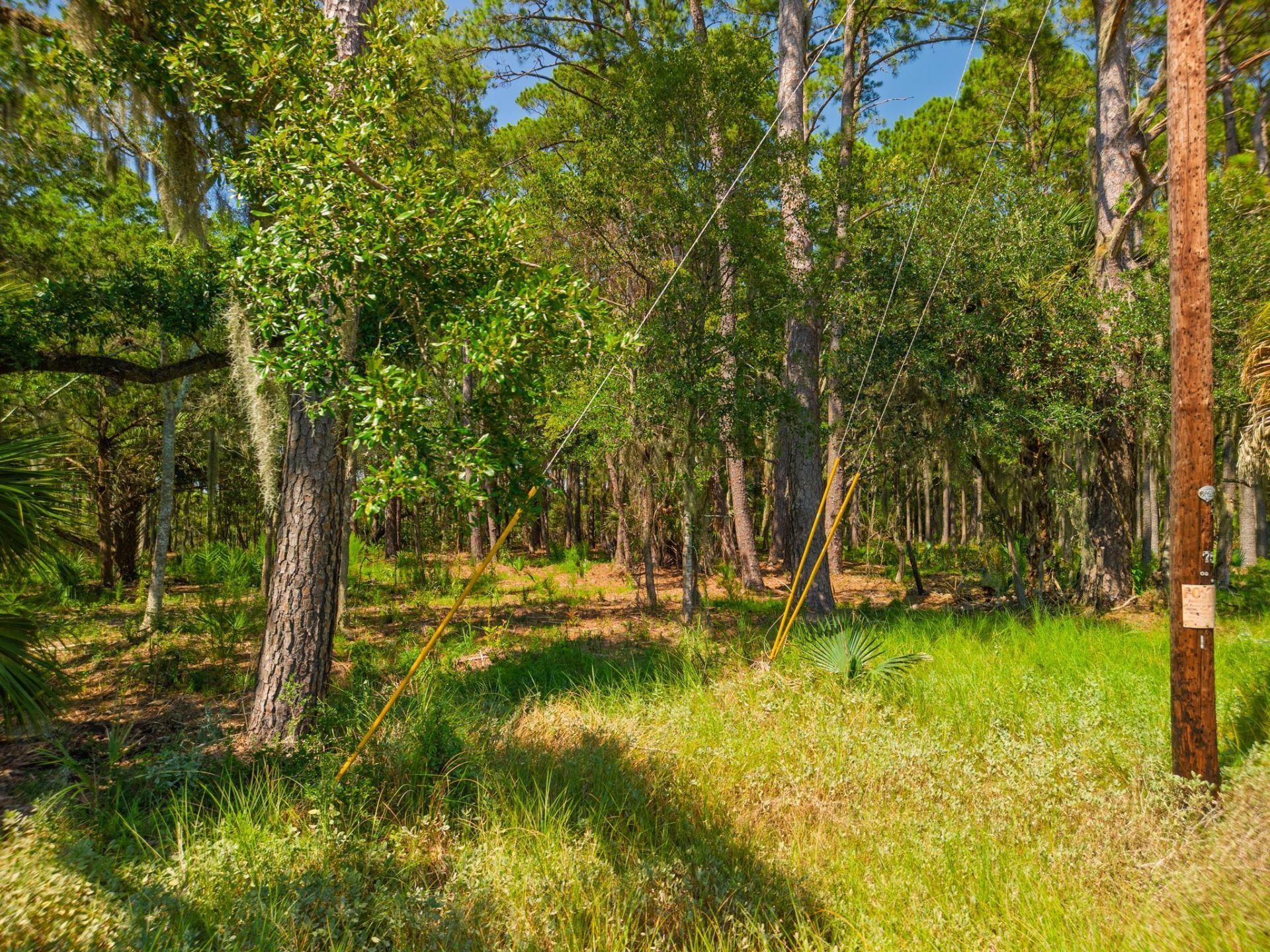 7860 Russell Creek Road Photo 13