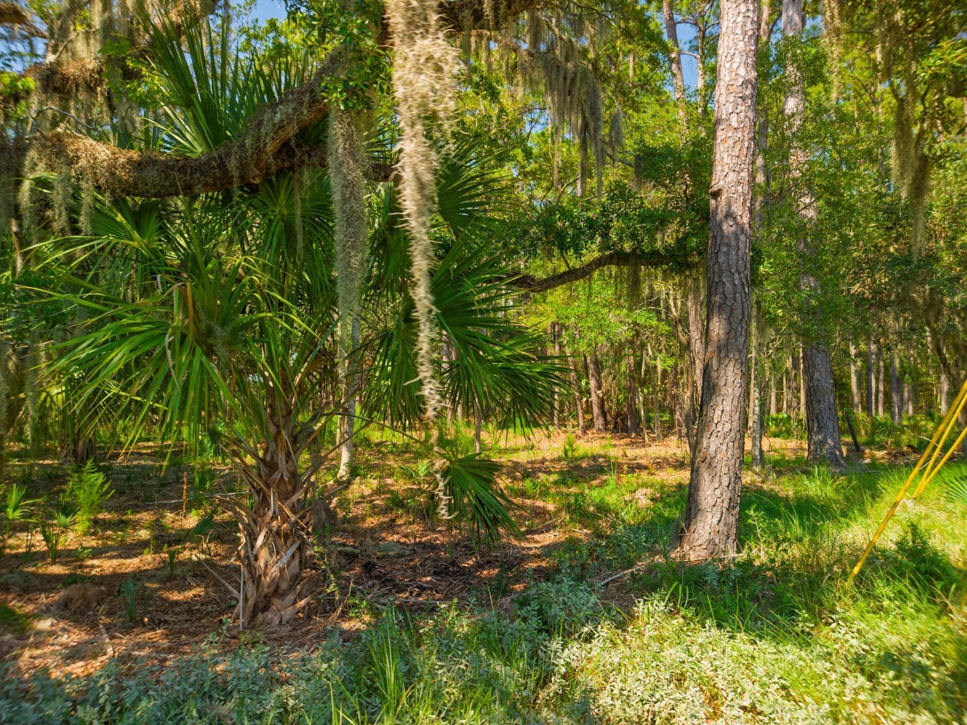 7860 Russell Creek Road Photo 15
