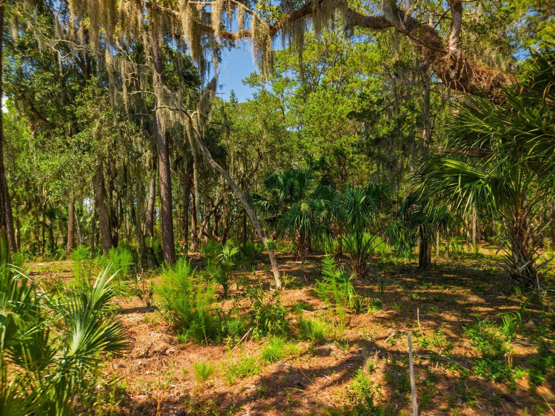 7860 Russell Creek Road Photo 18