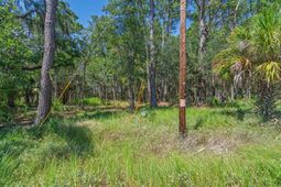 7860 Russell Creek Road photo 4