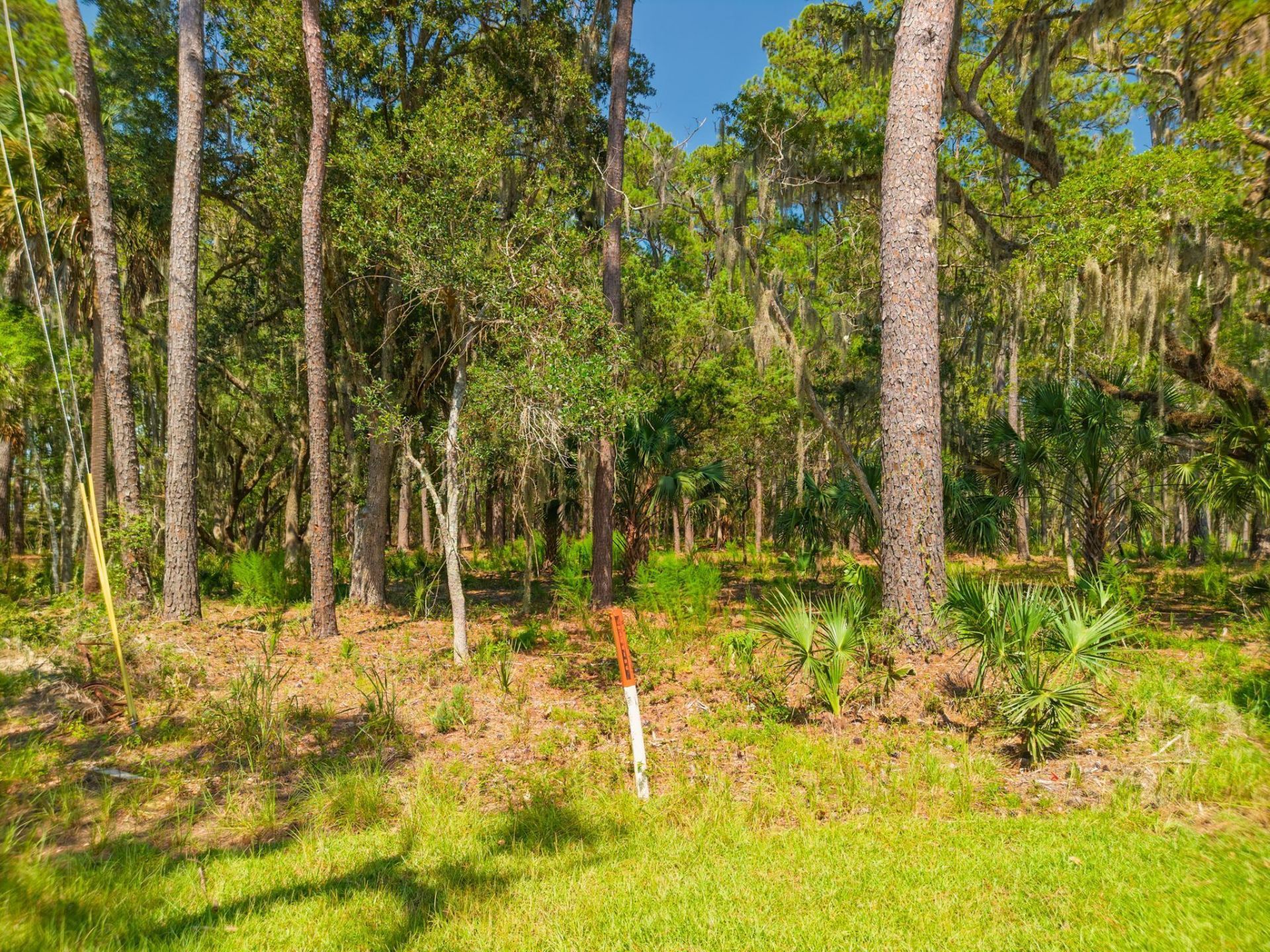 7860 Russell Creek Road Photo 20