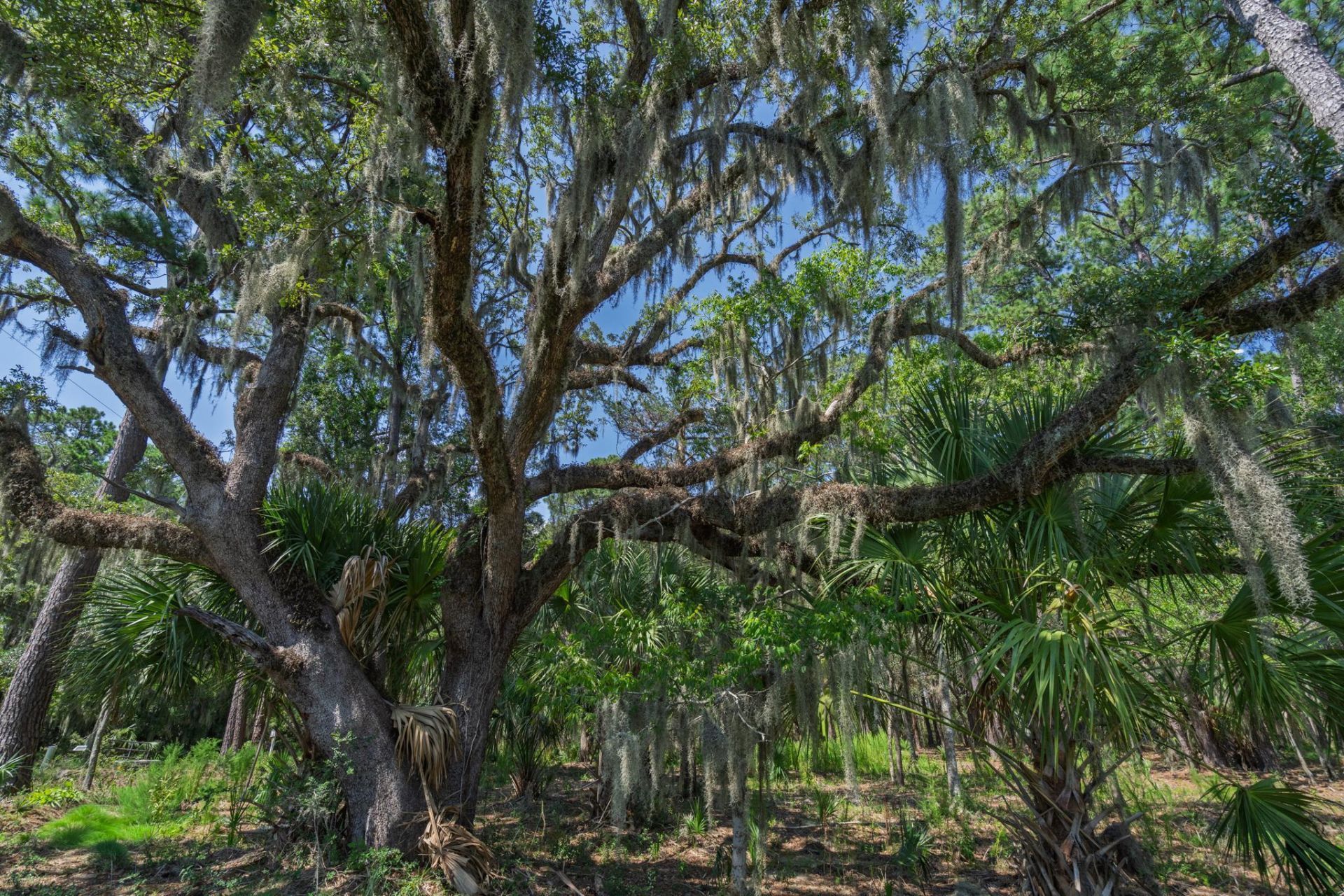 7860 Russell Creek Road Photo 22