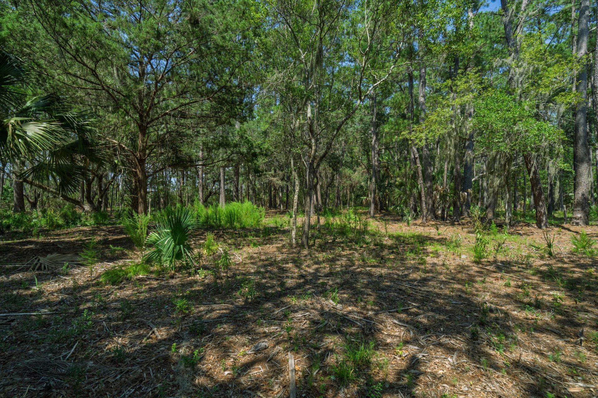 7860 Russell Creek Road Photo 23
