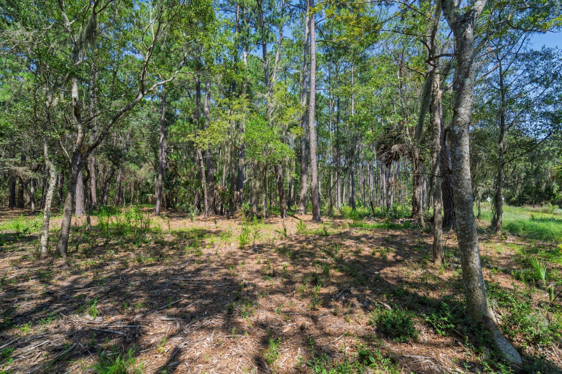 7860 Russell Creek Road Photo 24