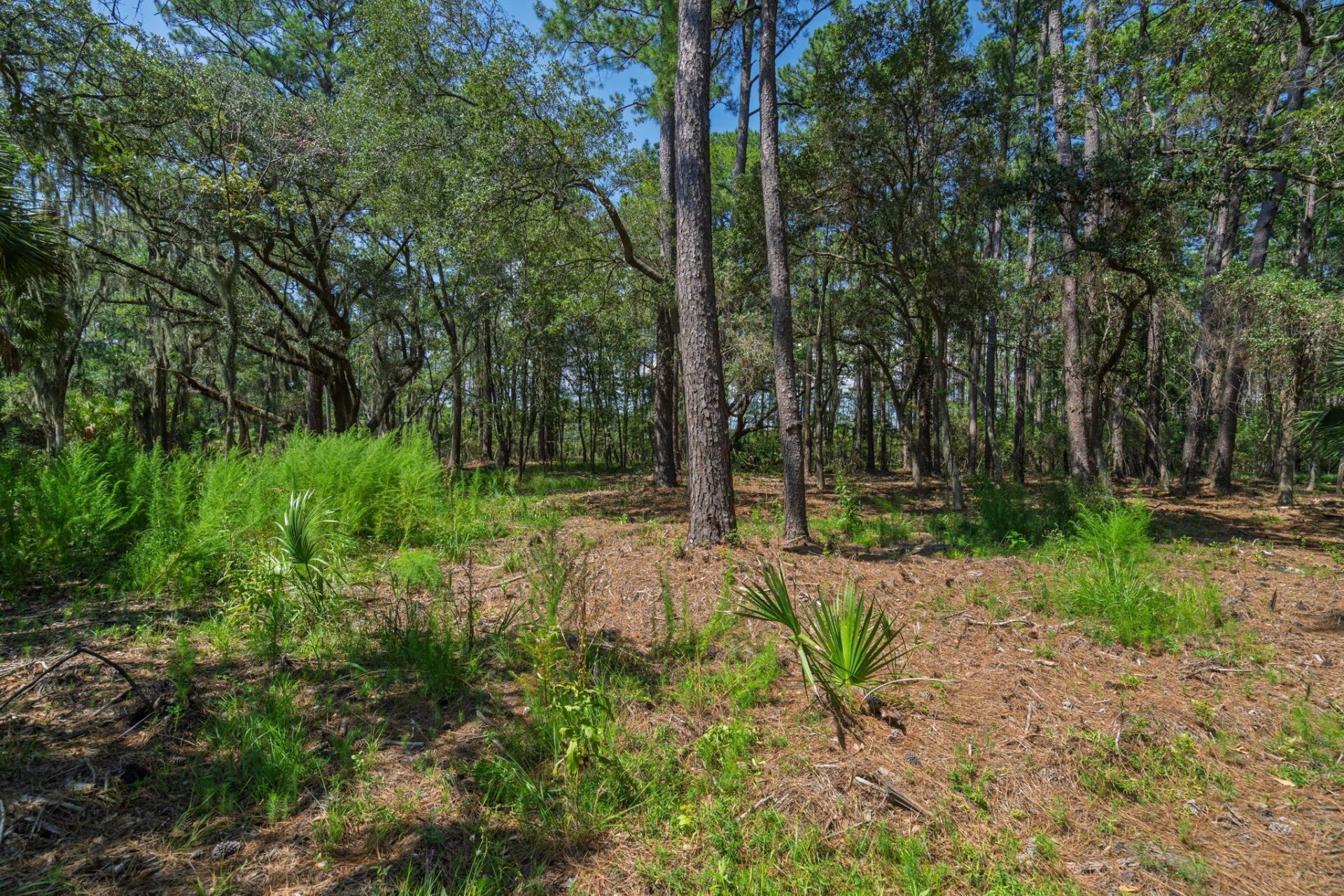 7860 Russell Creek Road Photo 25