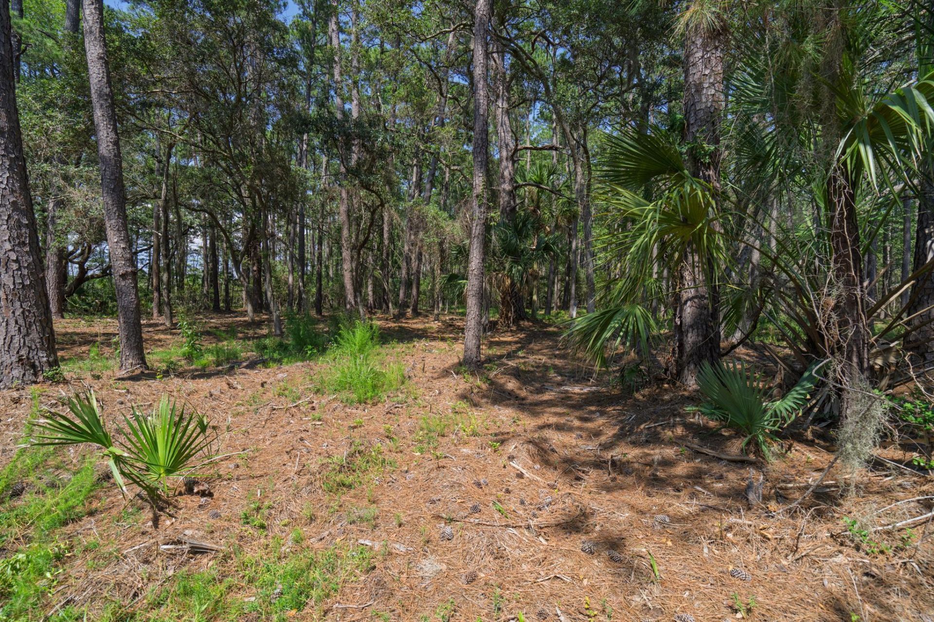 7860 Russell Creek Road Photo 26