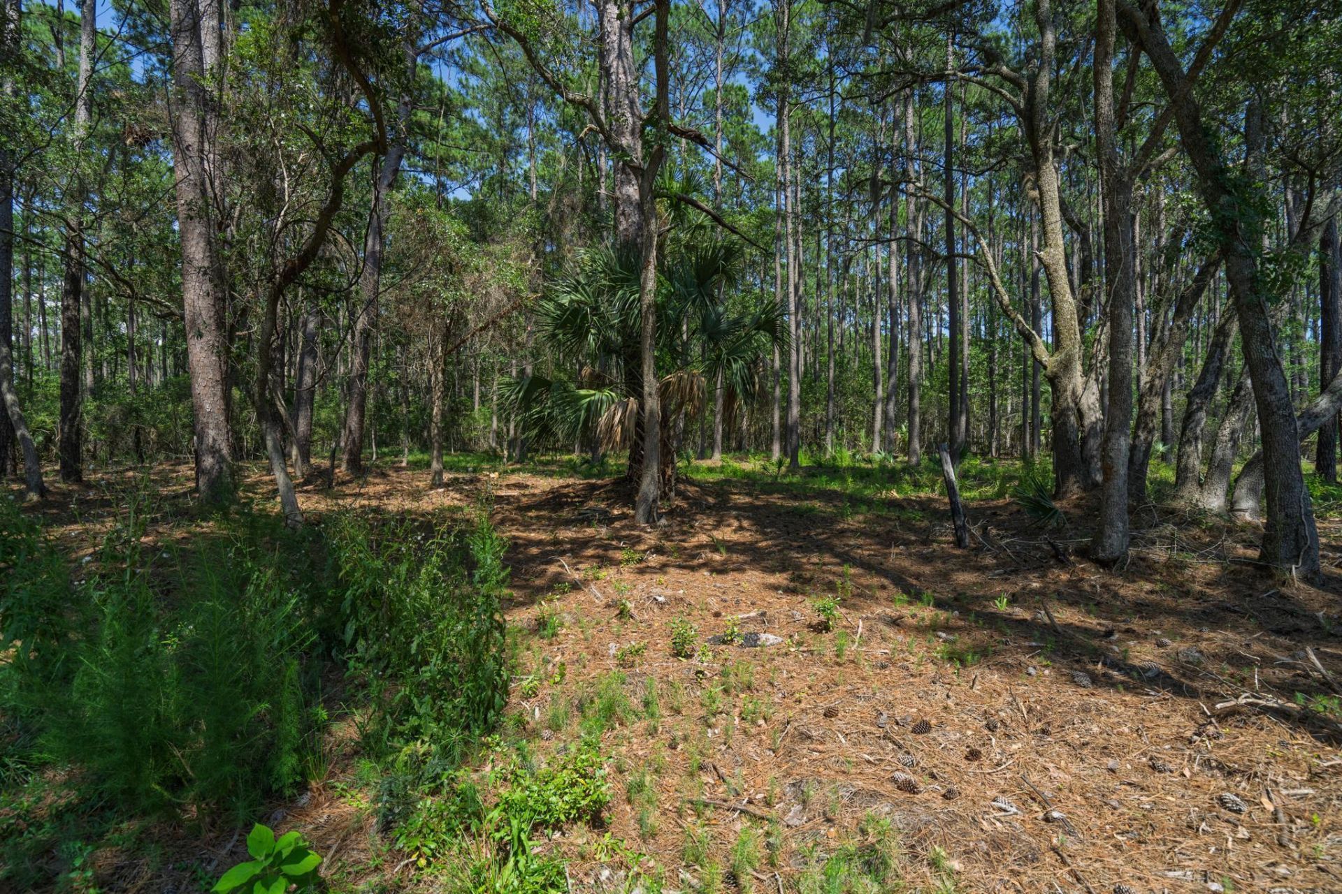 7860 Russell Creek Road Photo 28