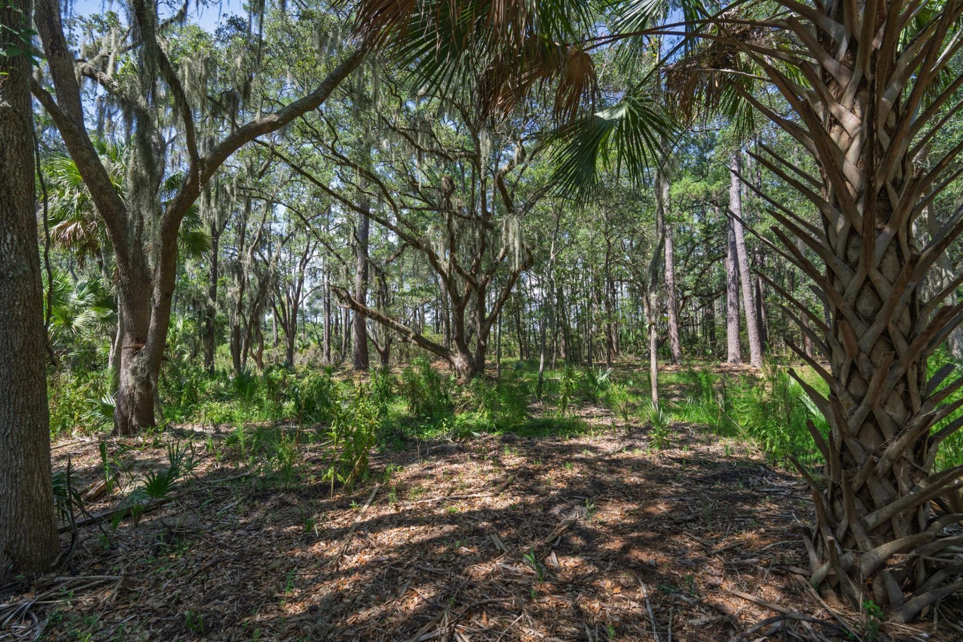 7860 Russell Creek Road Photo 29