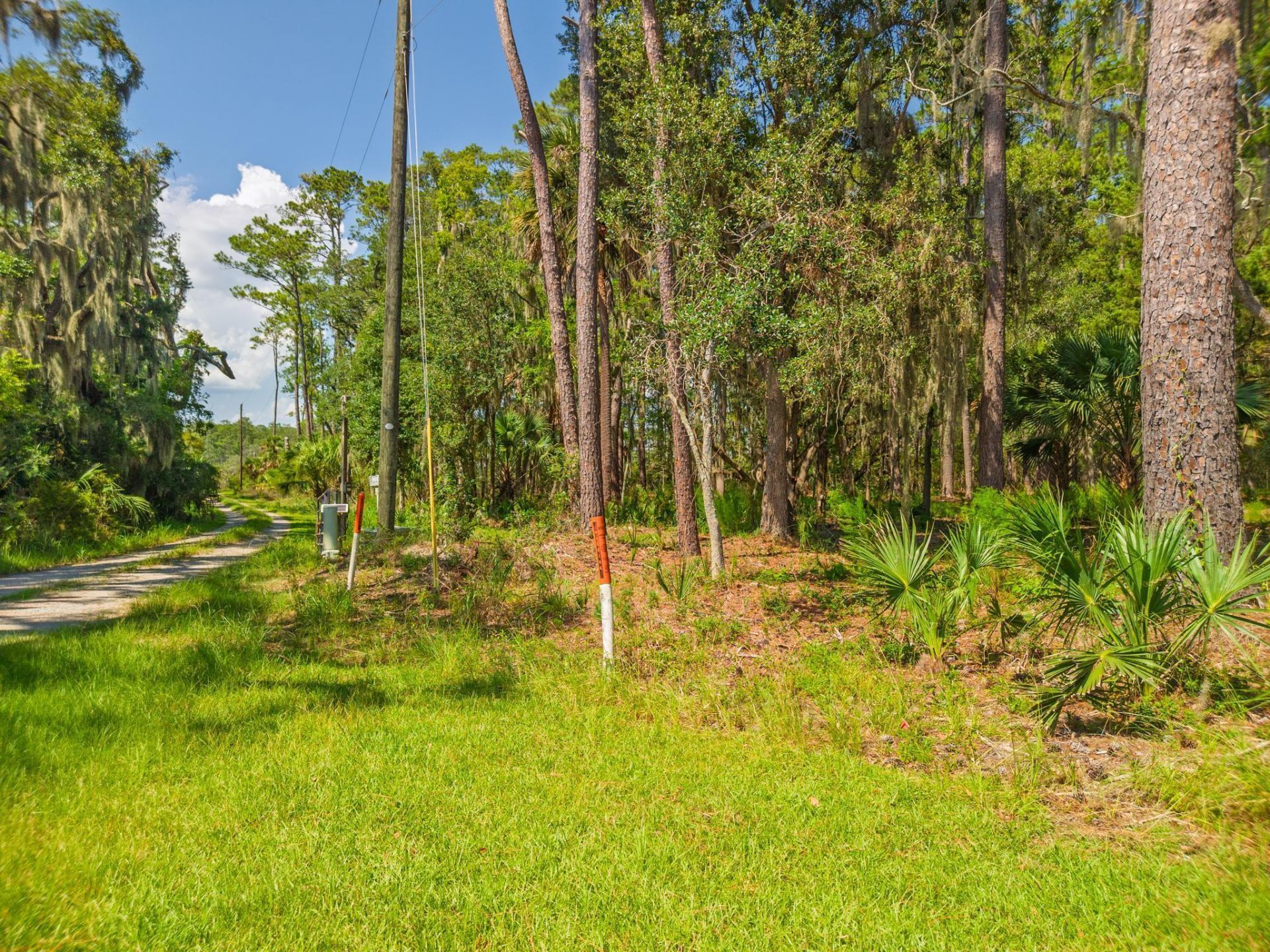 7860 Russell Creek Road Photo 8