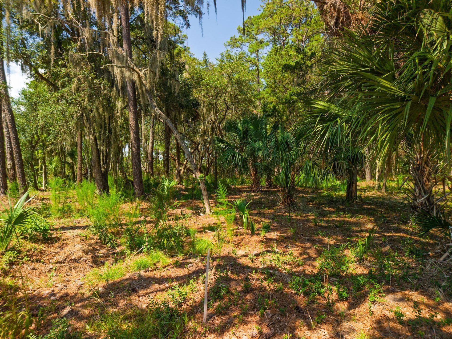 7860 Russell Creek Road Photo 9