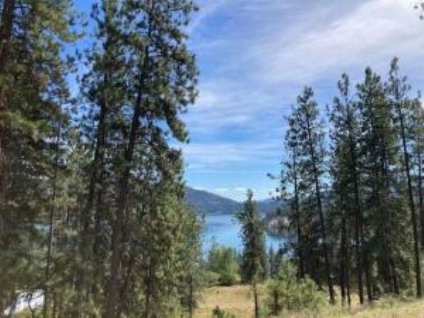 Lot 2 Kifer Spur Rd, Kettle Falls, WA 99141