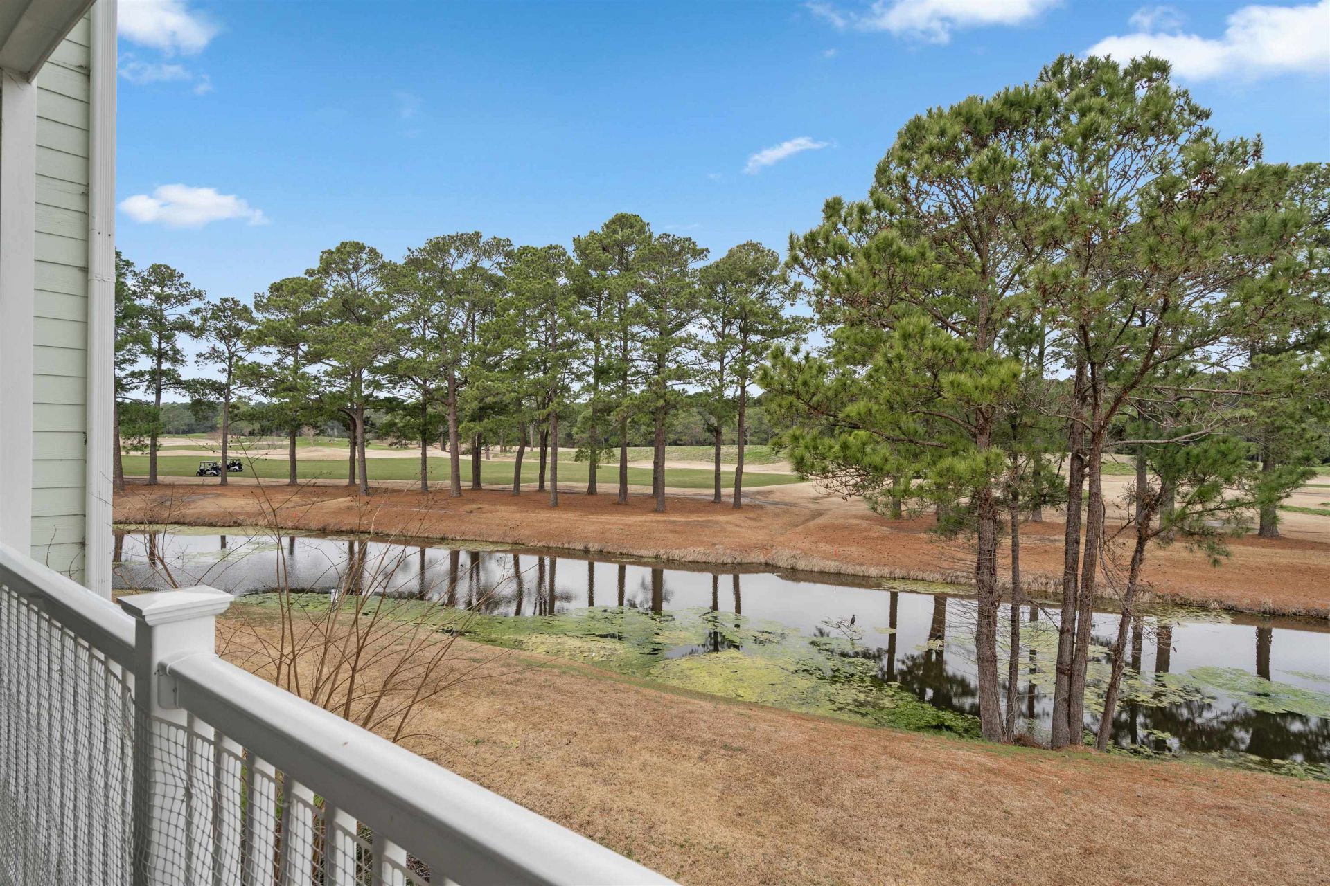 4851 Carnation Circle Photo 25