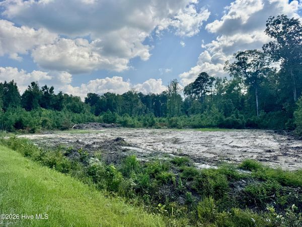 0 Near 436 Near 436 Giles Byrd Road , Hallsboro, NC 28442