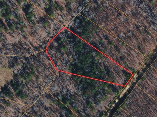 1 Timber View Road, Pikeville, TN 37367