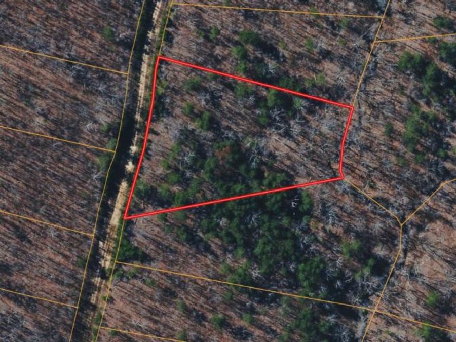 Property Image 4