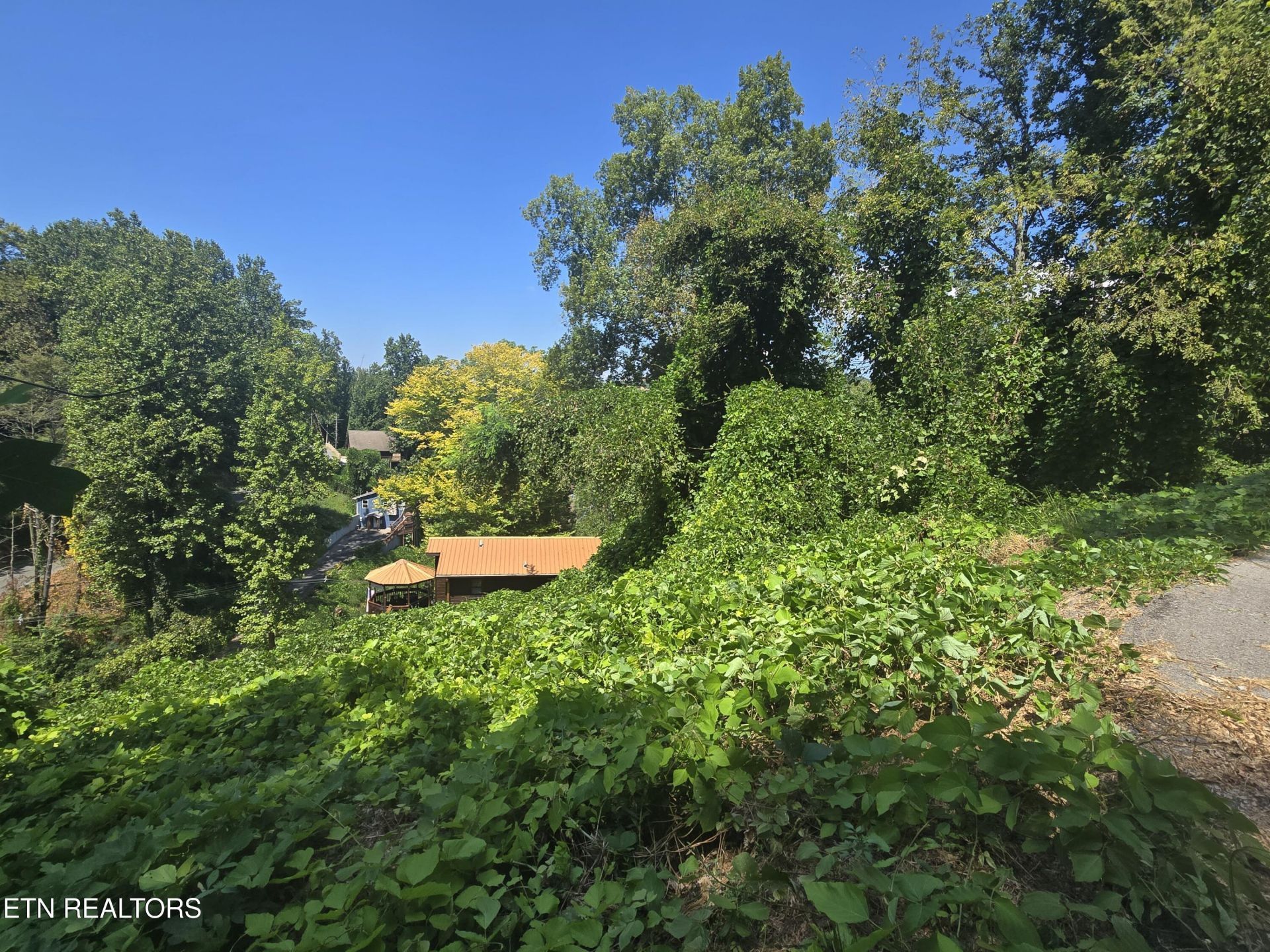 431 W Loop Rd, Gatlinburg, TN 37738 Main Photo