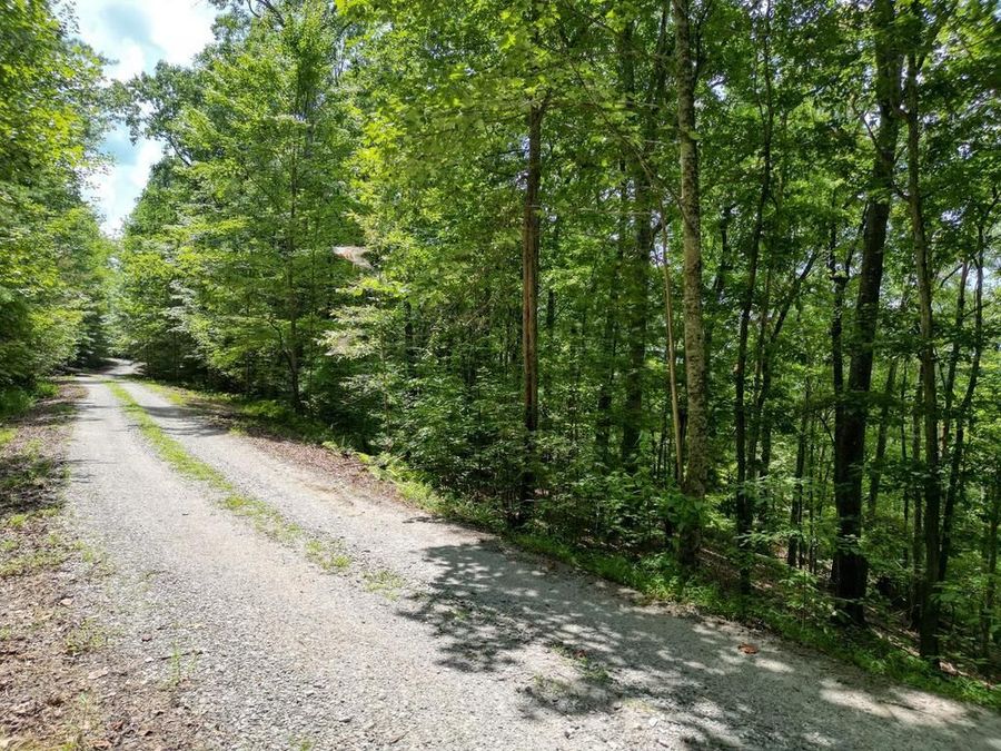 Property Image 6