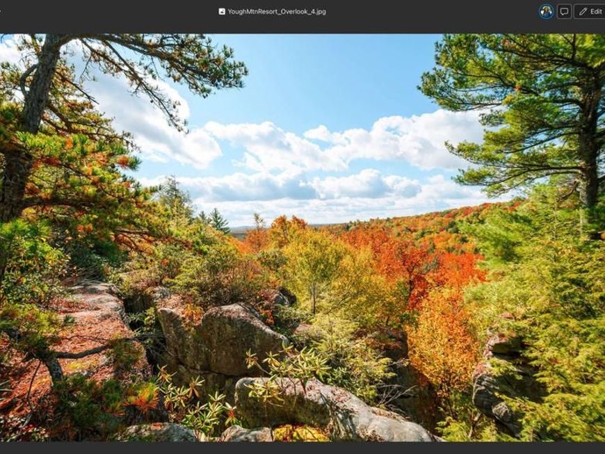 Cedar Lane, Lot #LOT 66, Oakland, MD 21550 Main Photo