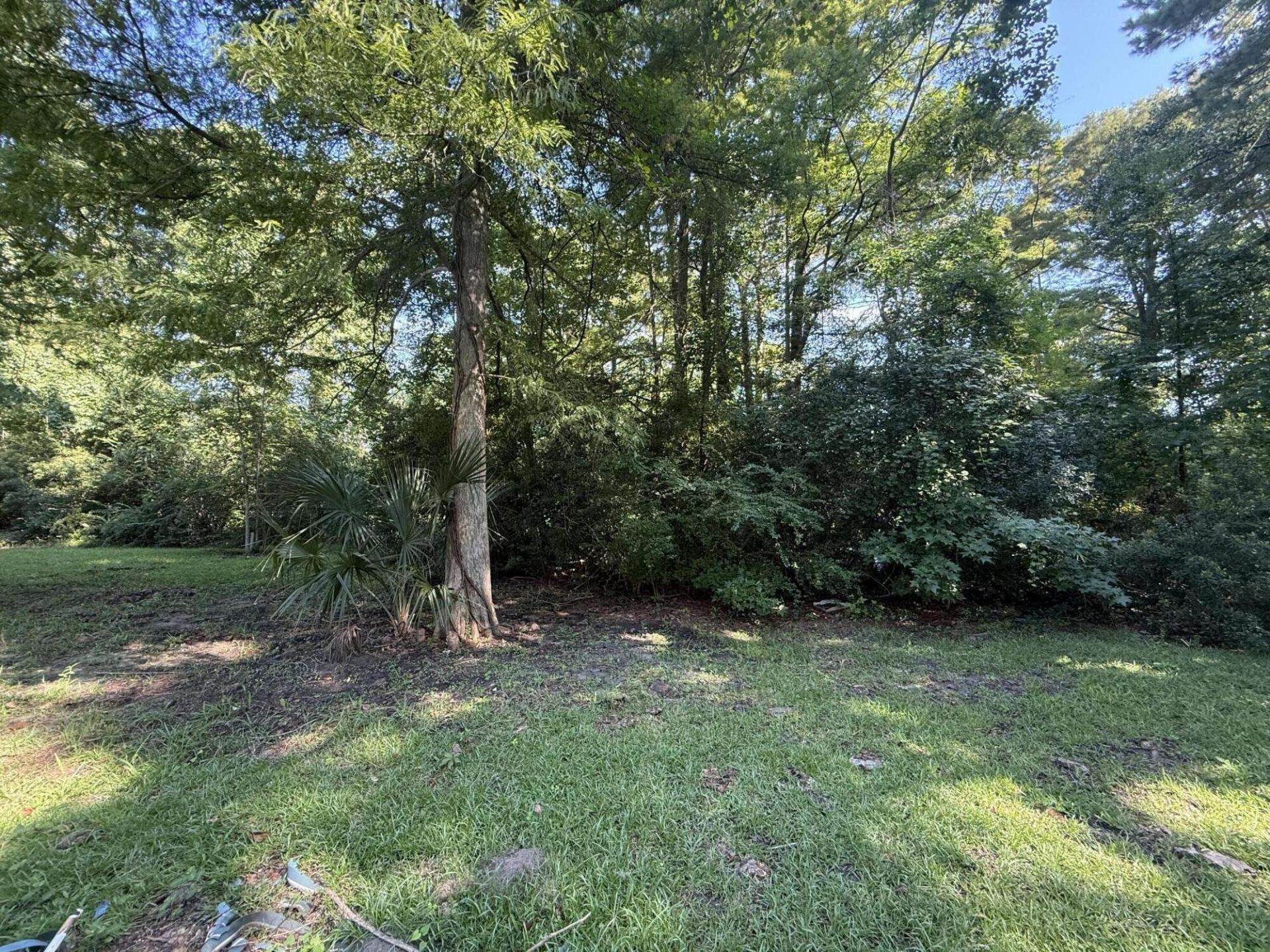 46 Monte Sano Drive Photo 21