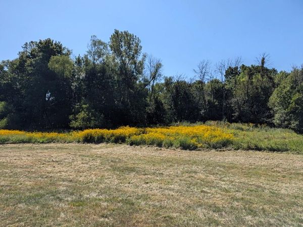 11205 S Cave Road, Lone Jack, MO 64070