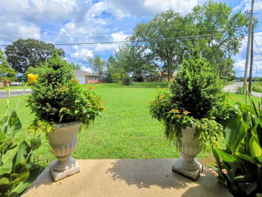 Property Image 58