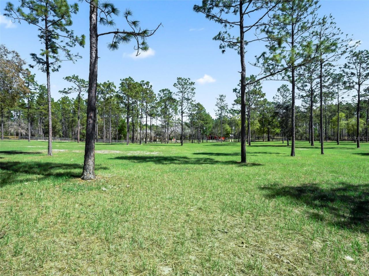 11370 SE 12th Lane, Morriston, FL 32668 Photo