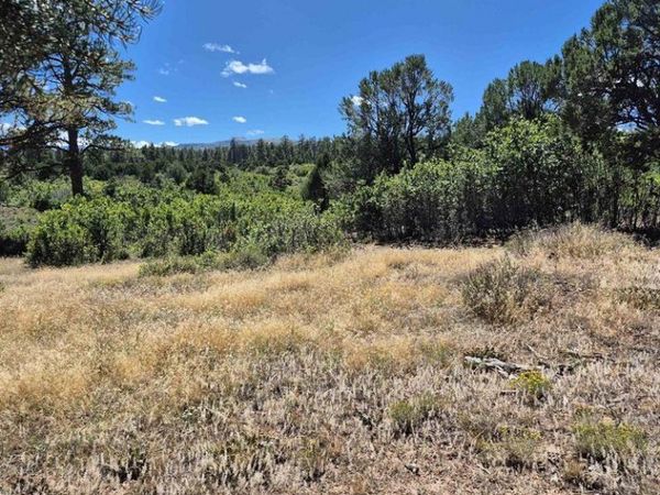 1620 Wildcat Canyon Road, Montrose, CO 81403