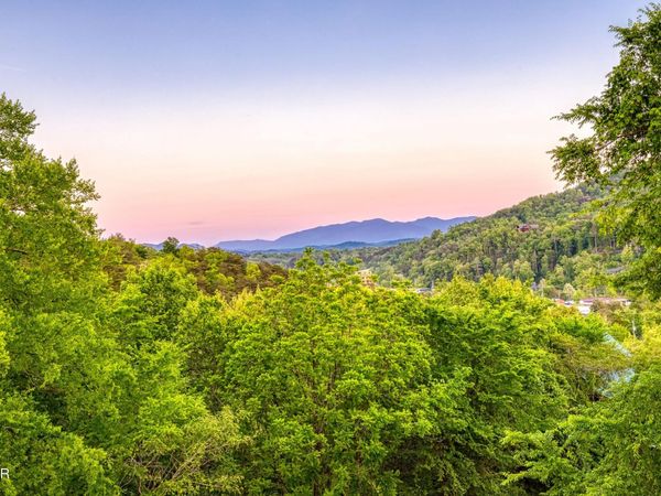 3301 Kestrel Way, Pigeon Forge, TN 37863