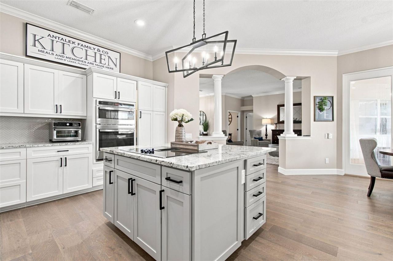 23610 Gracewood Circle, Land O Lakes, FL 34639 Photo