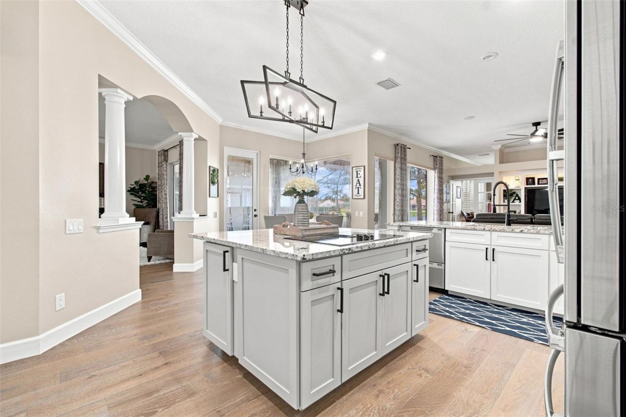23610 Gracewood Circle, Land O Lakes, FL 34639 Photo