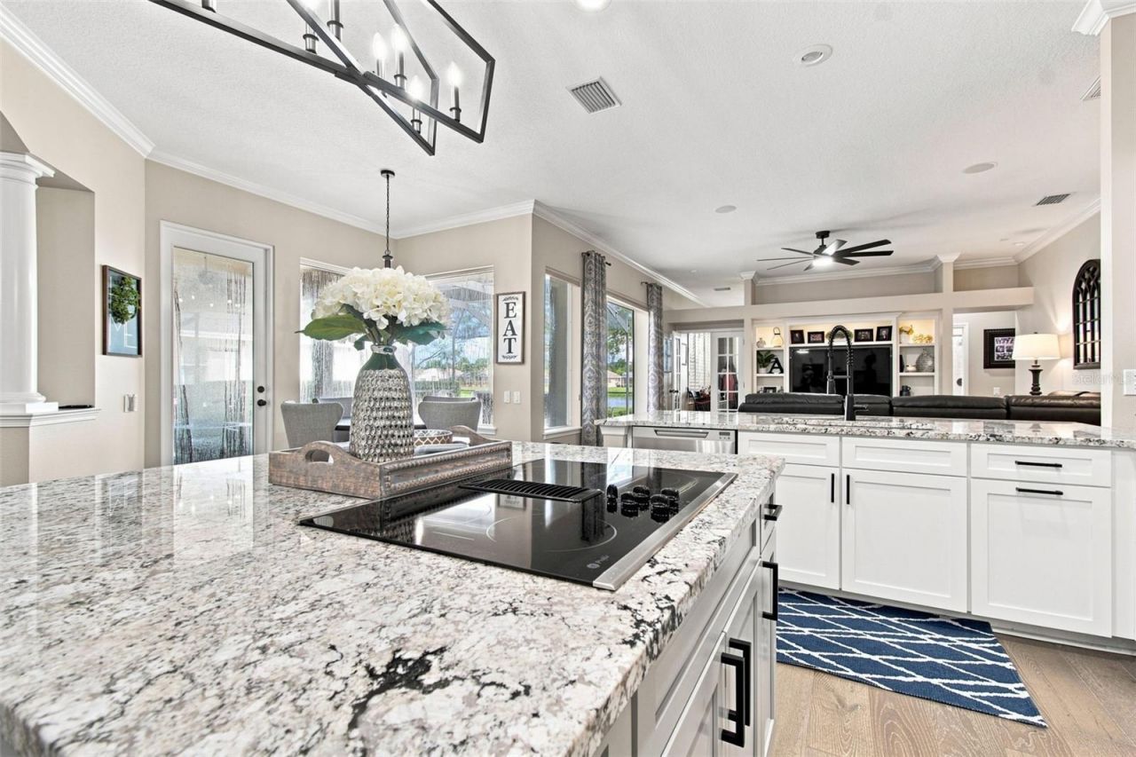 23610 Gracewood Circle, Land O Lakes, FL 34639 Photo