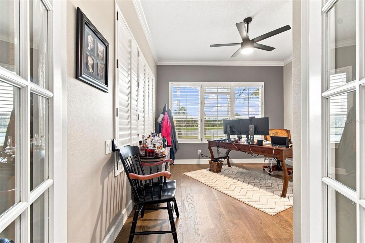 23610 Gracewood Circle, Land O Lakes, FL 34639 Photo