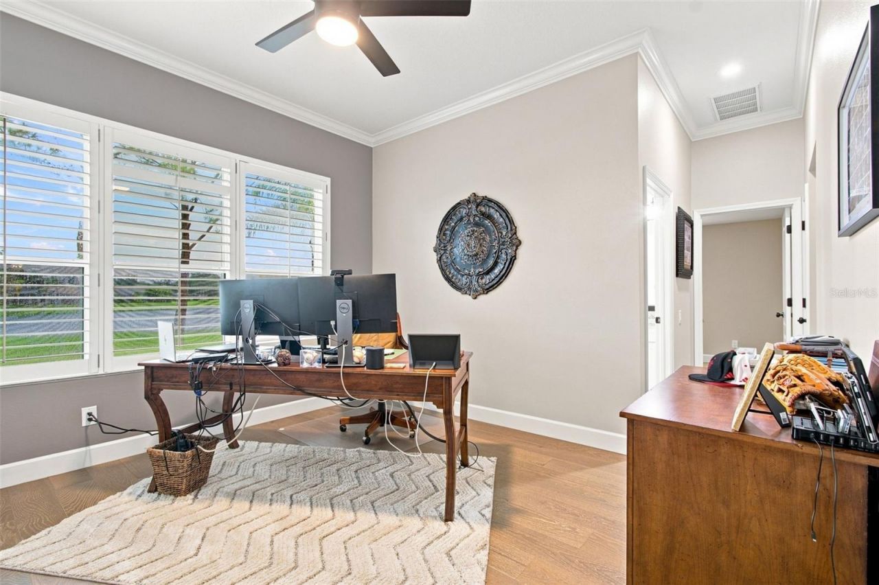23610 Gracewood Circle, Land O Lakes, FL 34639 Photo