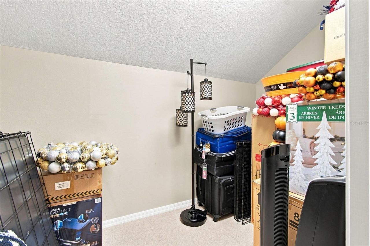 23610 Gracewood Circle, Land O Lakes, FL 34639 Photo