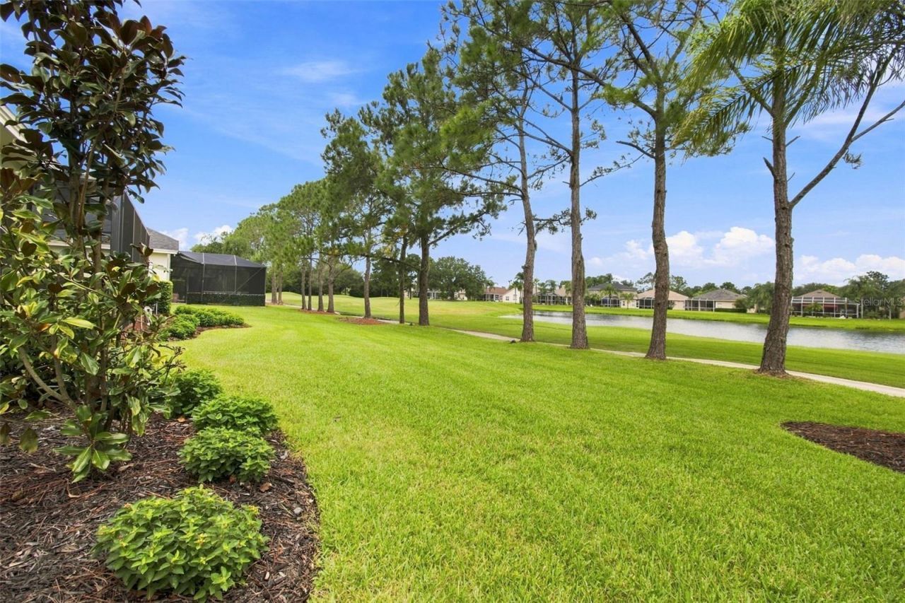 23610 Gracewood Circle, Land O Lakes, FL 34639 Photo